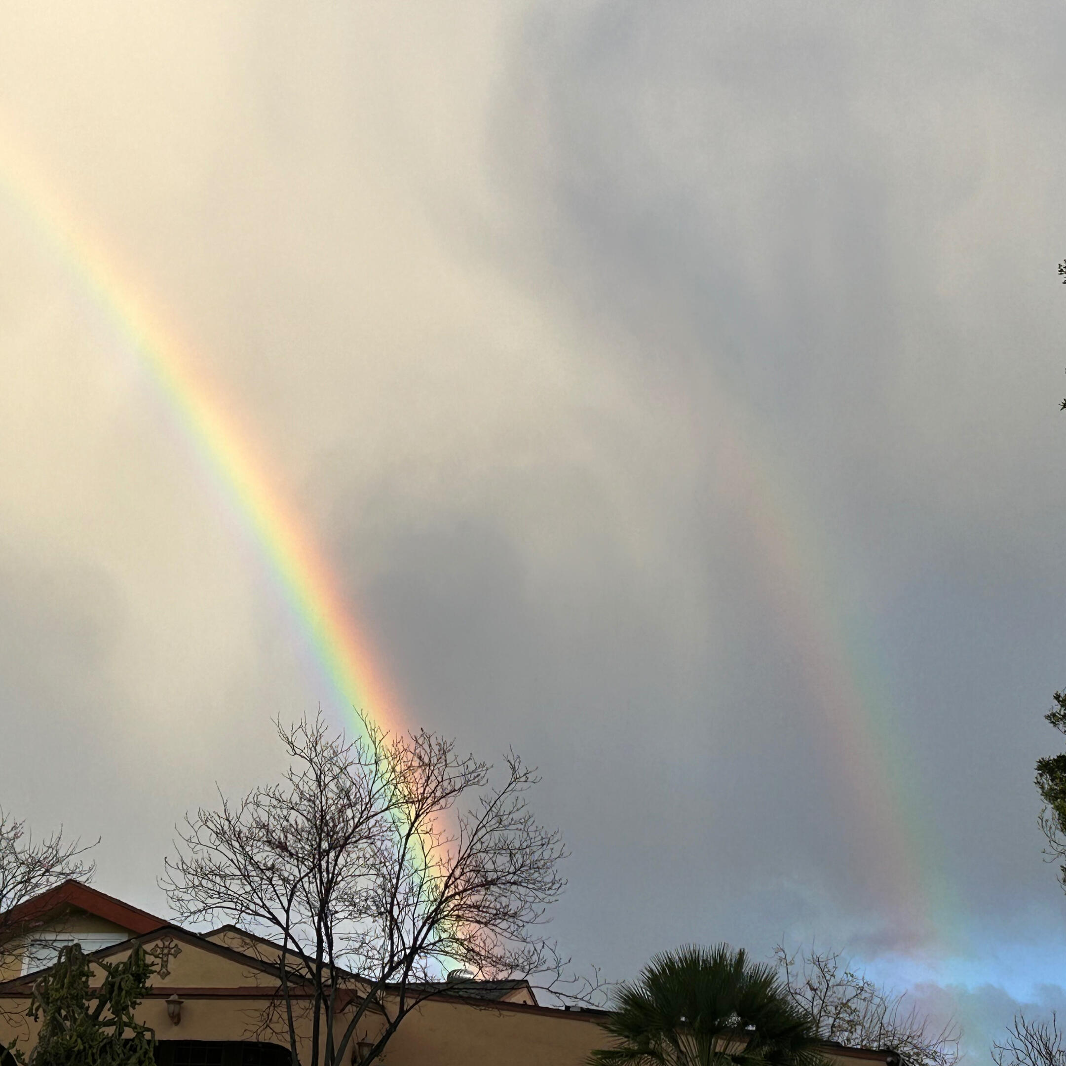 Double Rainbow A mirror of harmony, balance, and divine promise. At Neo Gaia, we believe that healing aligns us with the rainbow within — where body and soul reflect the light of truth.